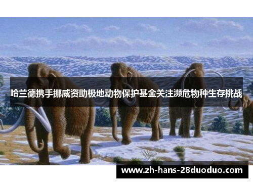 哈兰德携手挪威资助极地动物保护基金关注濒危物种生存挑战