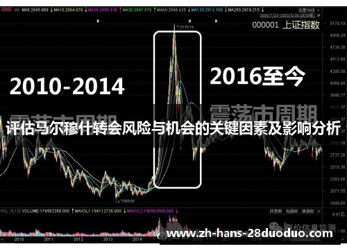 评估马尔穆什转会风险与机会的关键因素及影响分析