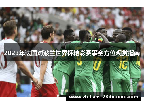2023年法国对波兰世界杯精彩赛事全方位观赏指南