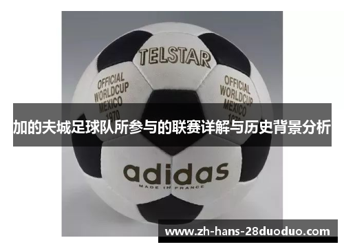 加的夫城足球队所参与的联赛详解与历史背景分析 加的夫城足球队所参与的联赛详解与历史背景分析
