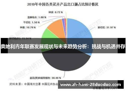 奥地利青年联赛发展现状与未来趋势分析:挑战与机遇并存 奥地利青年联赛发展现状与未来趋势分析:挑战与机遇并存
