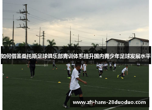 如何借鉴桑托斯足球俱乐部青训体系提升国内青少年足球发展水平 如何借鉴桑托斯足球俱乐部青训体系提升国内青少年足球发展水平