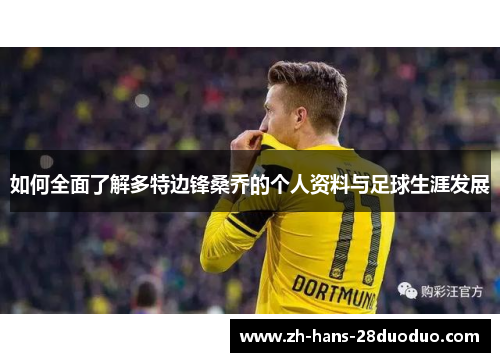 如何全面了解多特边锋桑乔的个人资料与足球生涯发展 如何全面了解多特边锋桑乔的个人资料与足球生涯发展