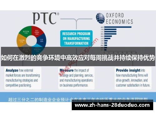 如何在激烈的竞争环境中高效应对每周挑战并持续保持优势