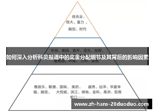 如何深入分析科贝报道中的奖金分配细节及其背后的影响因素
