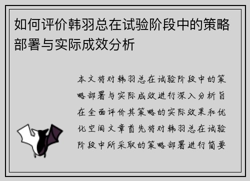 如何评价韩羽总在试验阶段中的策略部署与实际成效分析