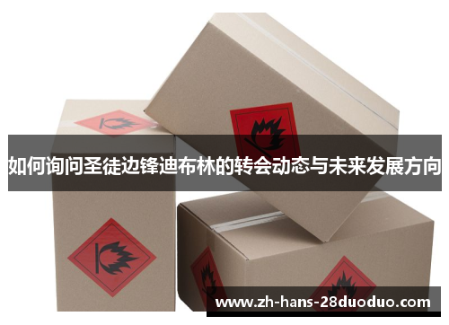 如何询问圣徒边锋迪布林的转会动态与未来发展方向